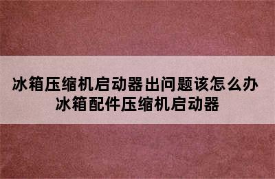 冰箱压缩机启动器出问题该怎么办 冰箱配件压缩机启动器